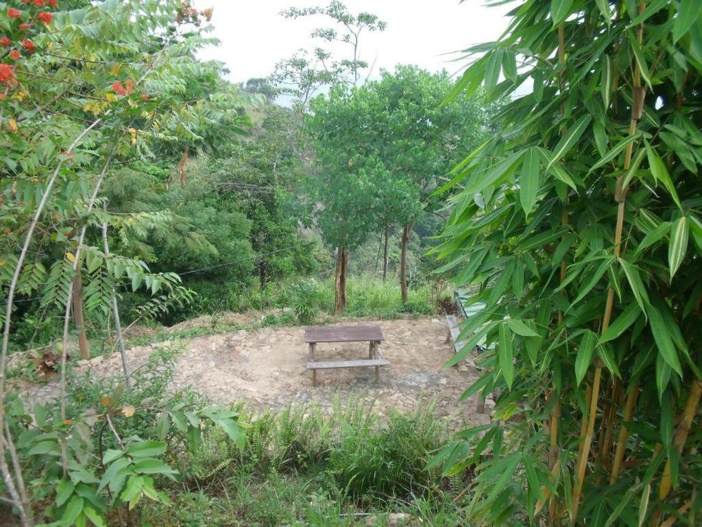 Artist Cottage Haputale Exterior foto